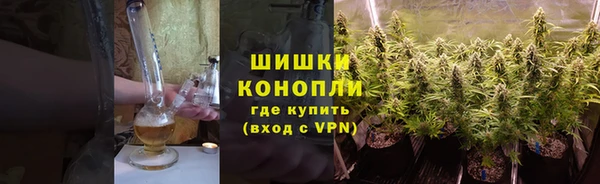 ПСИЛОЦИБИНОВЫЕ ГРИБЫ Белокуриха