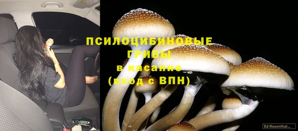 spice Белоозёрский