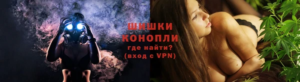 ПСИЛОЦИБИНОВЫЕ ГРИБЫ Белокуриха