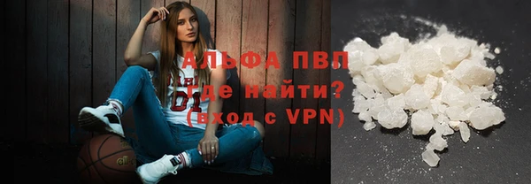 ПСИЛОЦИБИНОВЫЕ ГРИБЫ Белокуриха