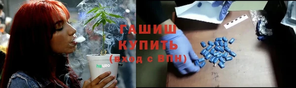 ПСИЛОЦИБИНОВЫЕ ГРИБЫ Белокуриха