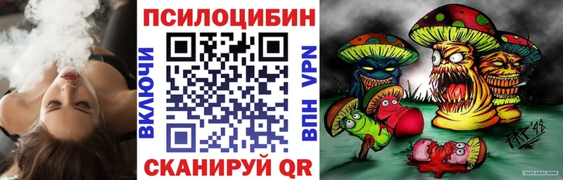 мега ТОР  Армавир  Галлюциногенные грибы Cubensis  цены  